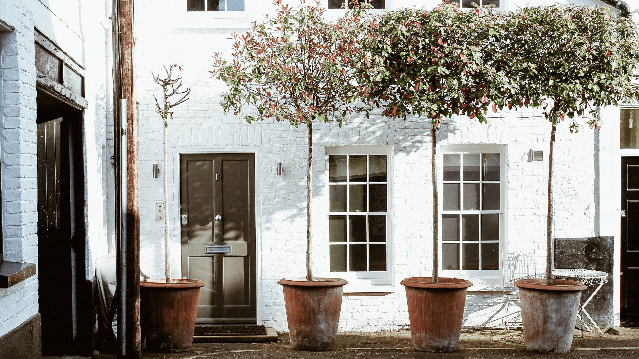 four plant pots in front of a white house with a brown door and two windows