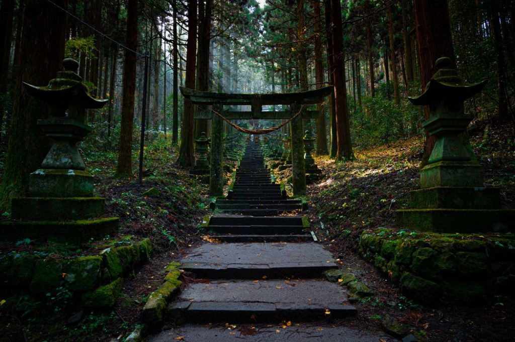 A stairway path in a forest in Japan.